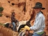 kids horse ride